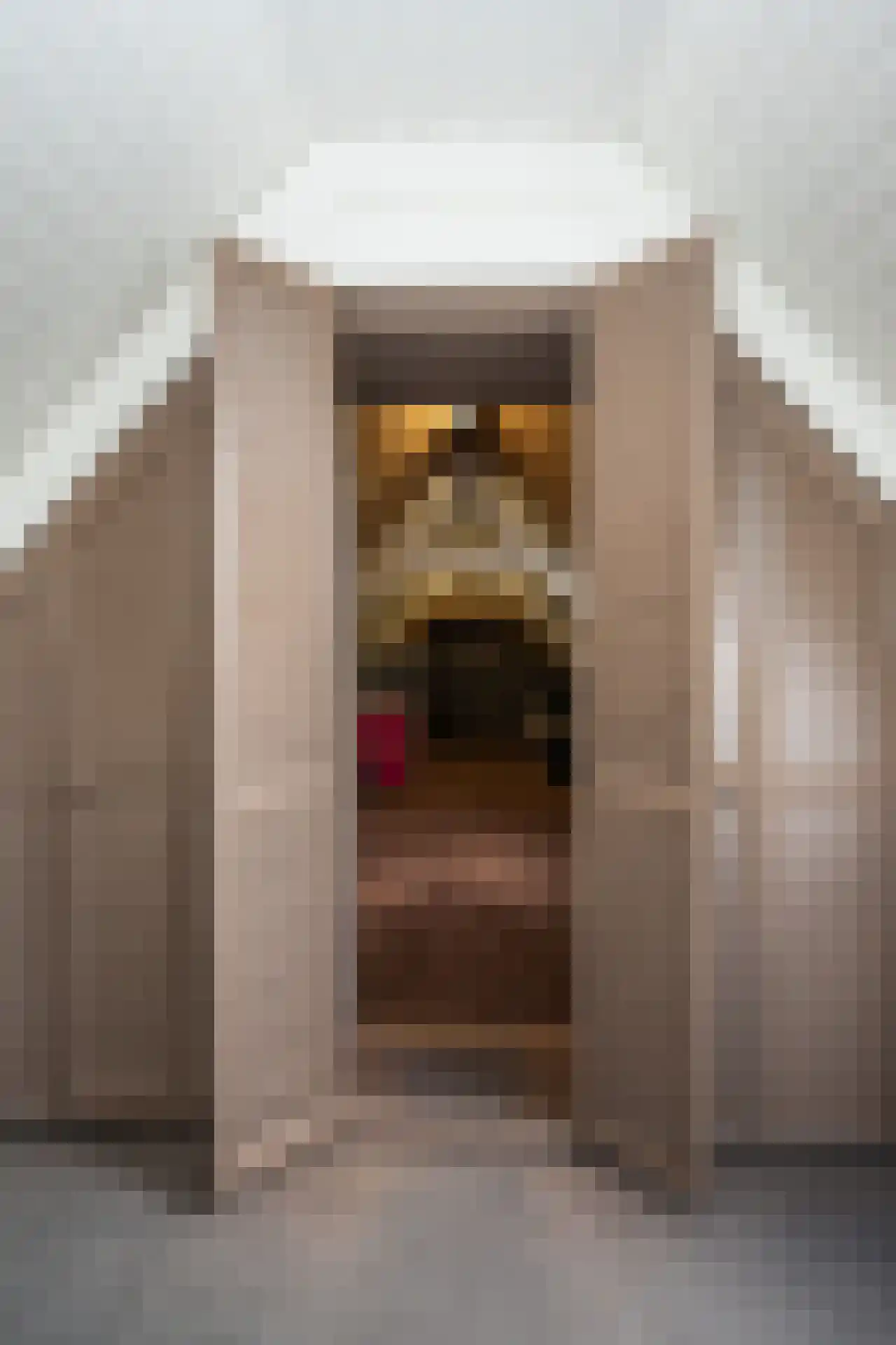 Doolhof 3 Oudeschild thumbnail 81