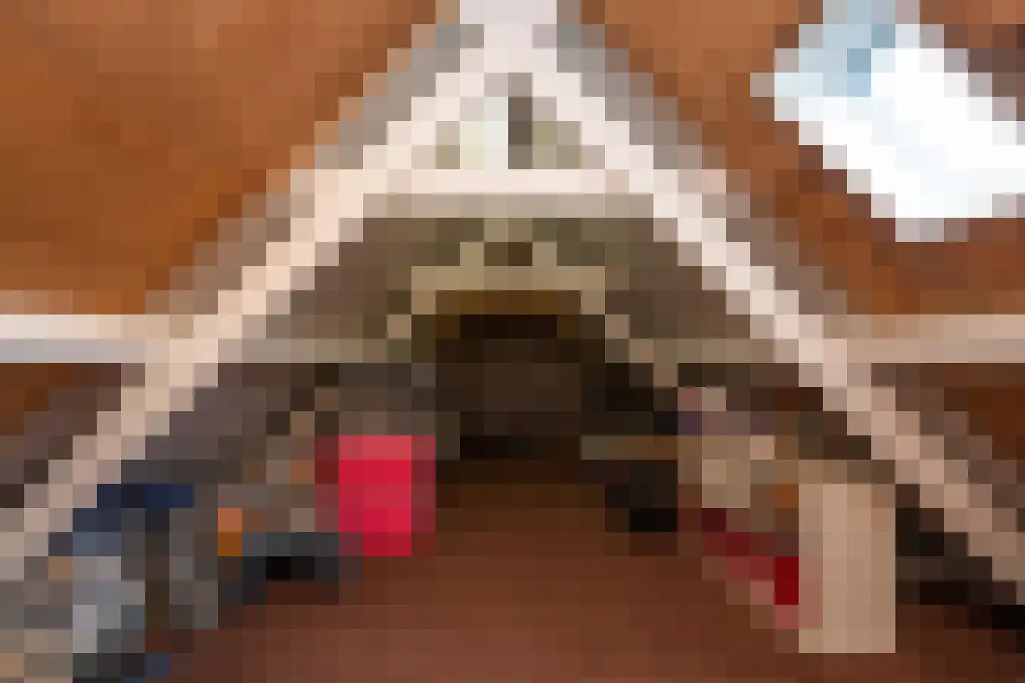 Doolhof 3 Oudeschild thumbnail 82