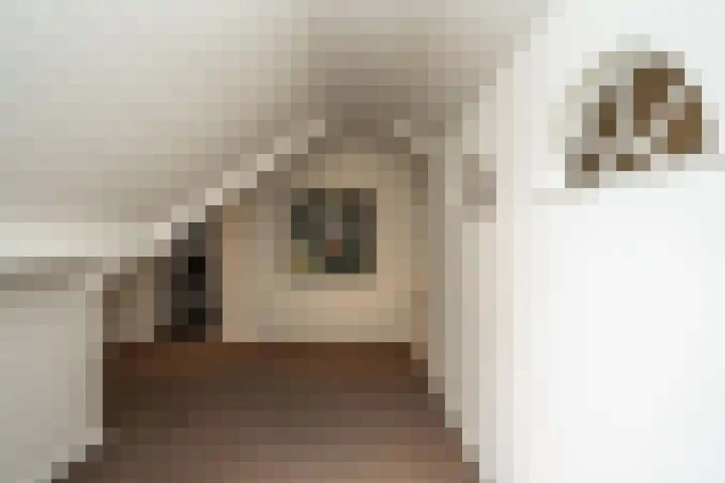 Doolhof 3 Oudeschild thumbnail 84