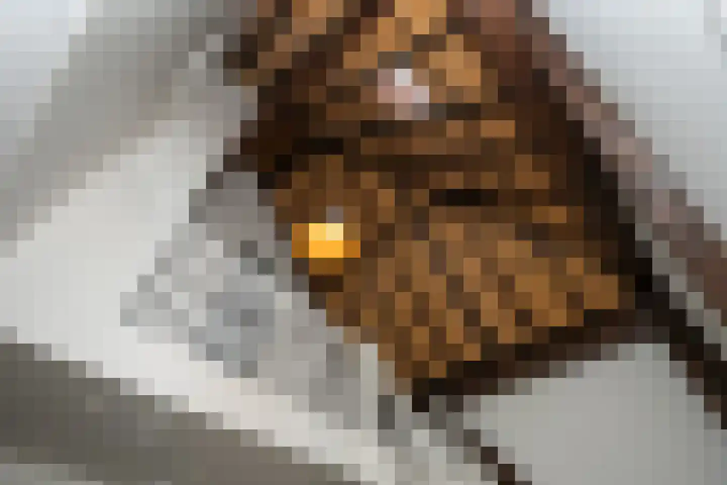 Doolhof 3 Oudeschild thumbnail 85
