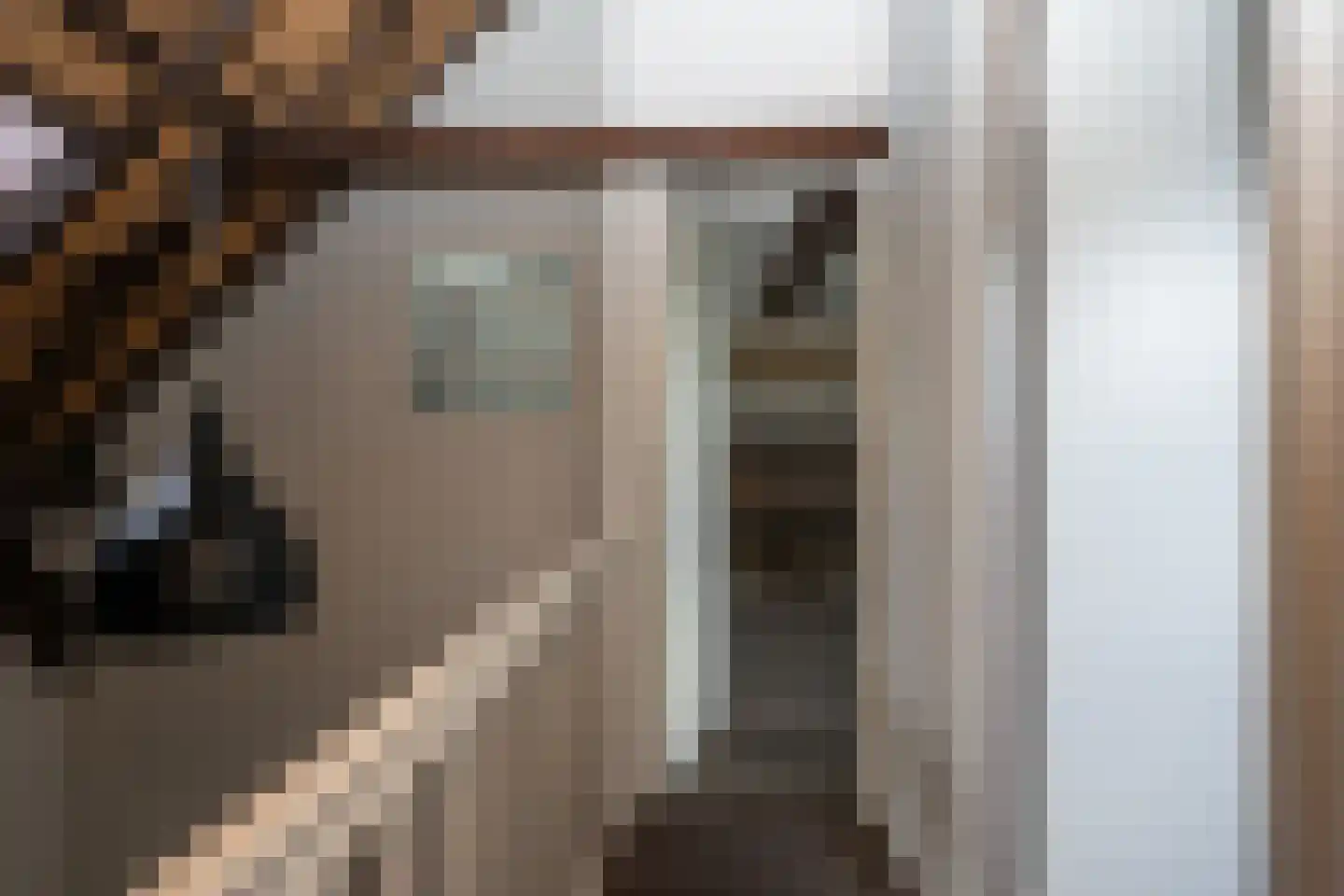Doolhof 3 Oudeschild thumbnail 86