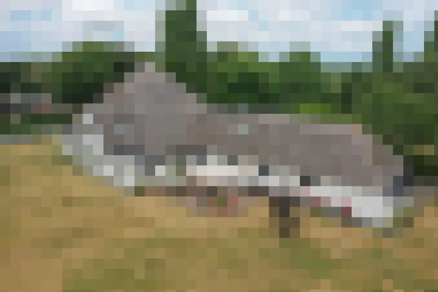 Doolhof 3 Oudeschild thumbnail 97
