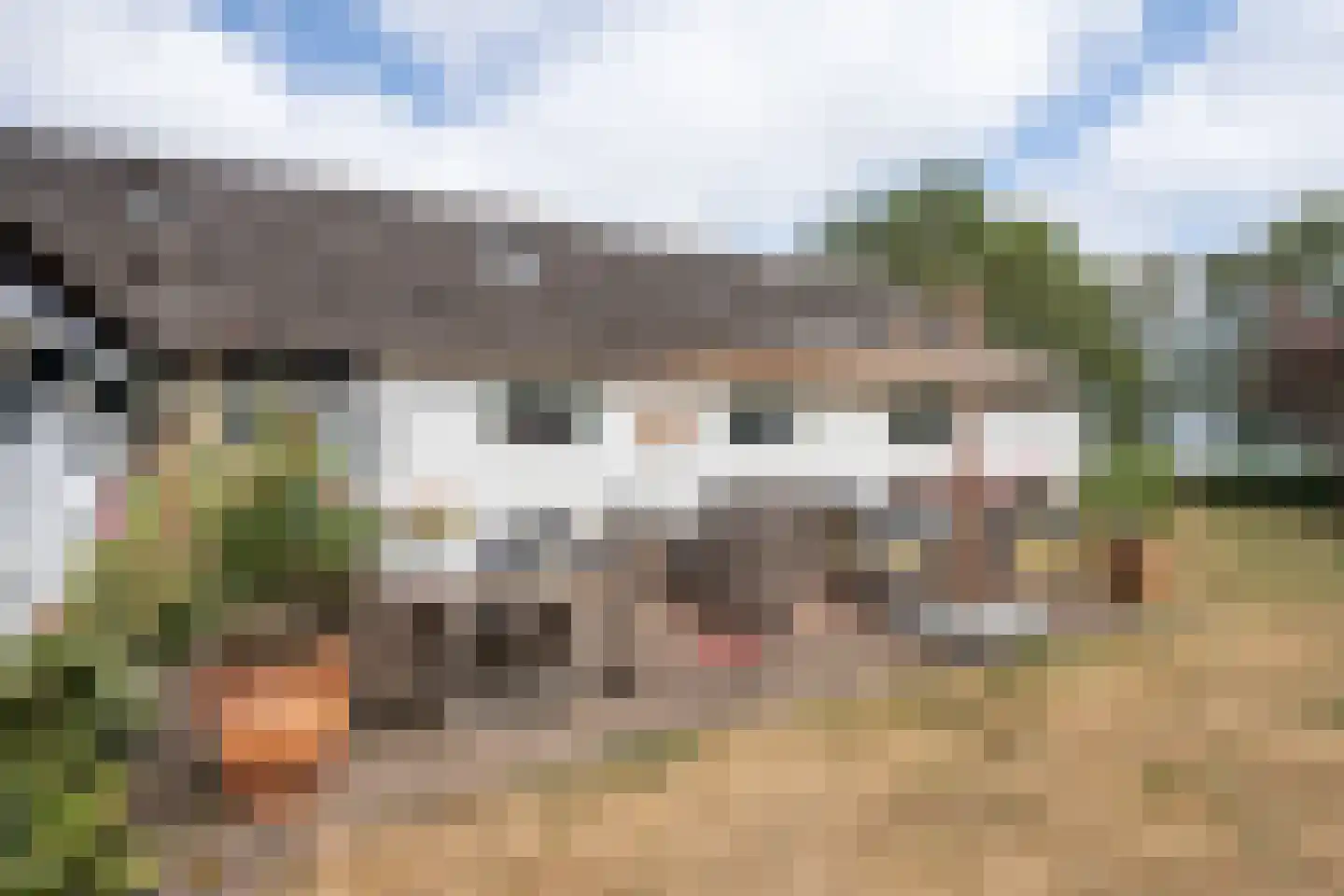 Doolhof 3 Oudeschild thumbnail 98