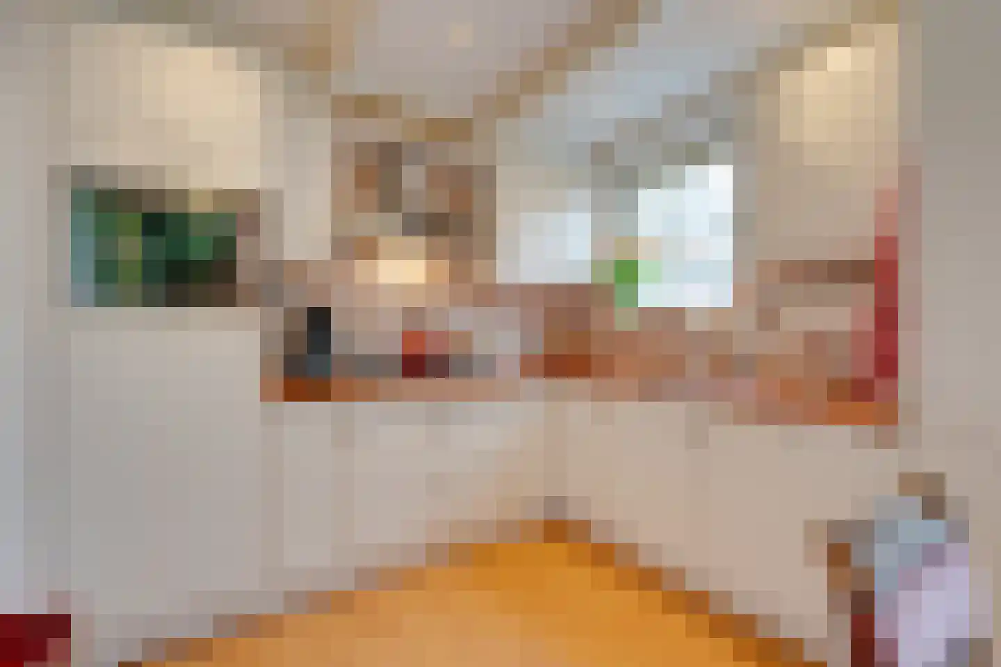 Doolhof 46 Volendam thumbnail 16