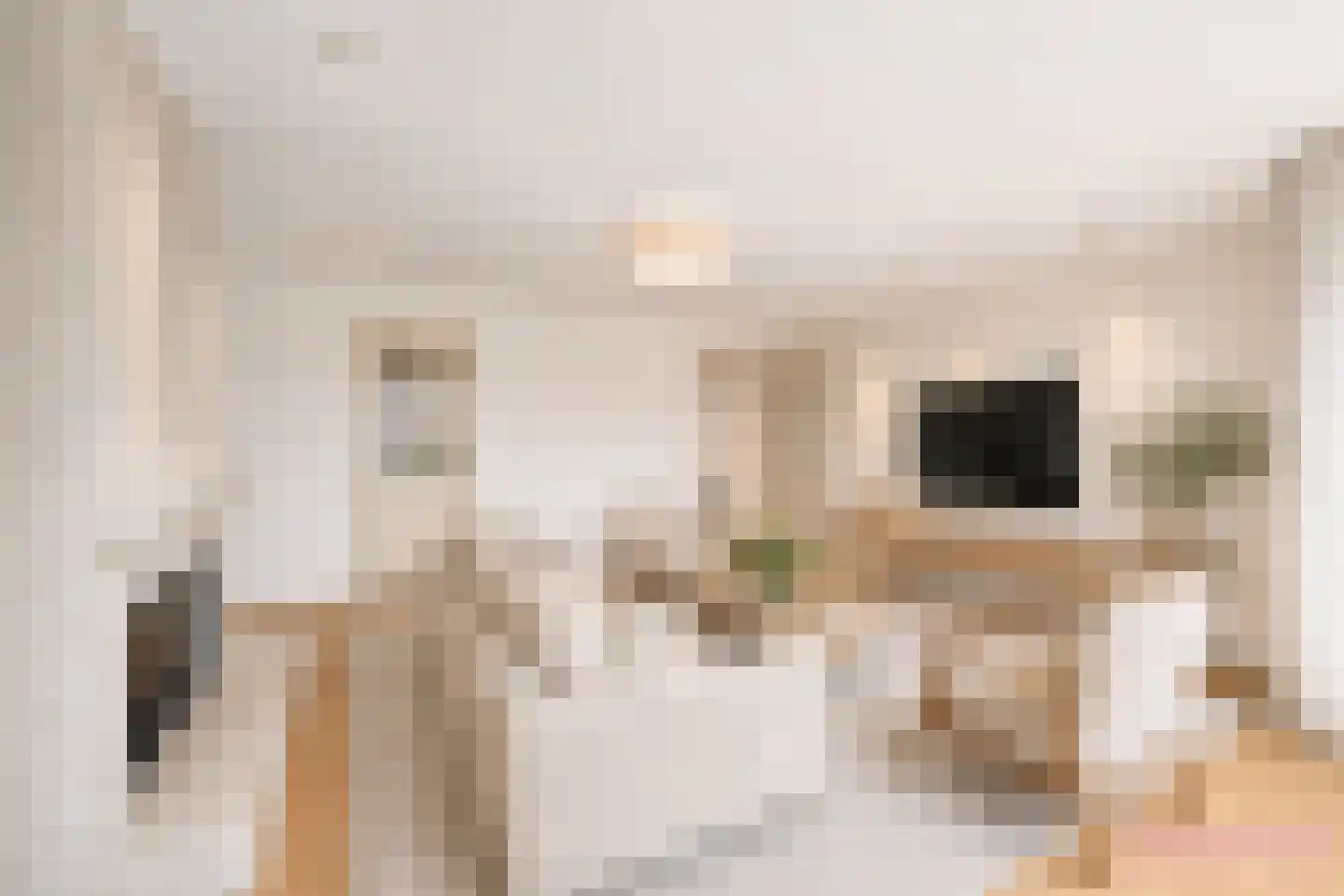Doolhof 46 Volendam thumbnail 17