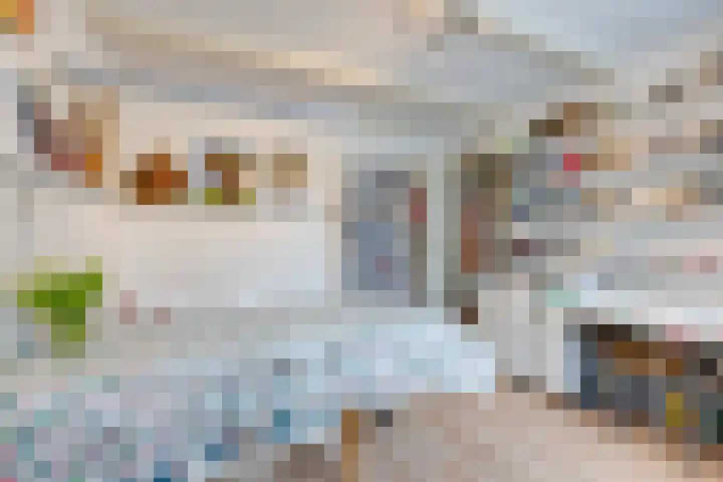 Doolhof 46 Volendam thumbnail 20