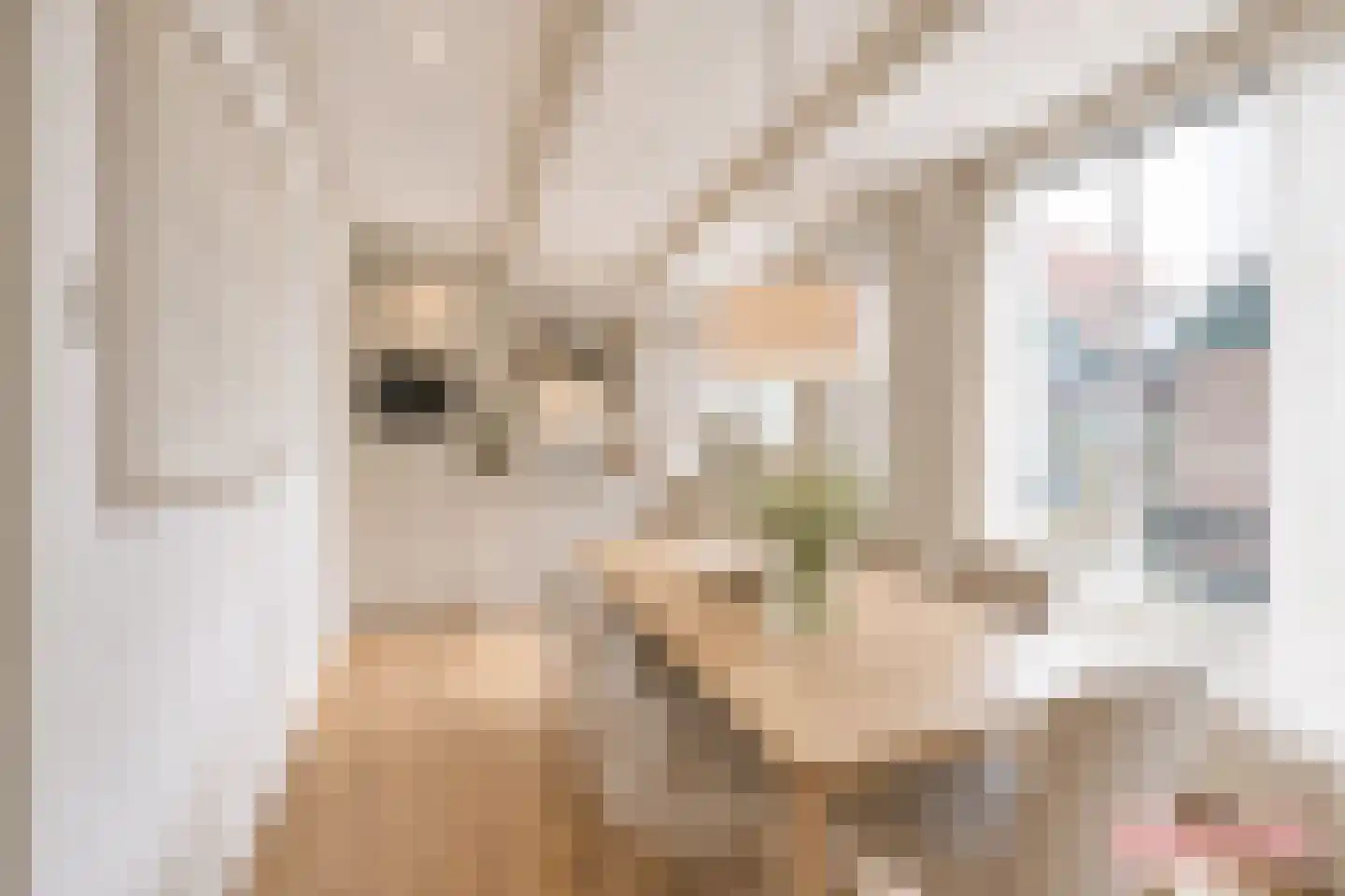 Doolhof 46 Volendam thumbnail 4
