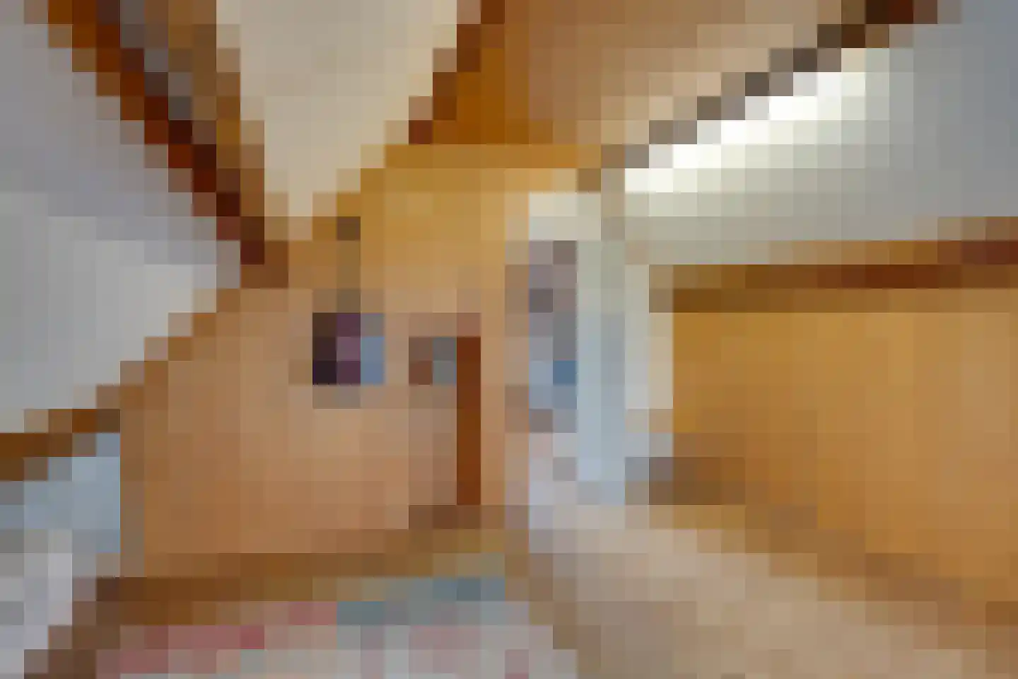 Doolhof 46 Volendam thumbnail 44