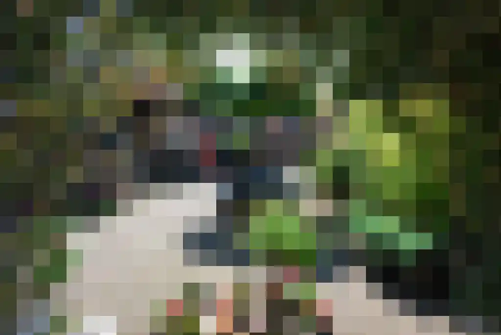 Doolhof 67 Volendam thumbnail 23