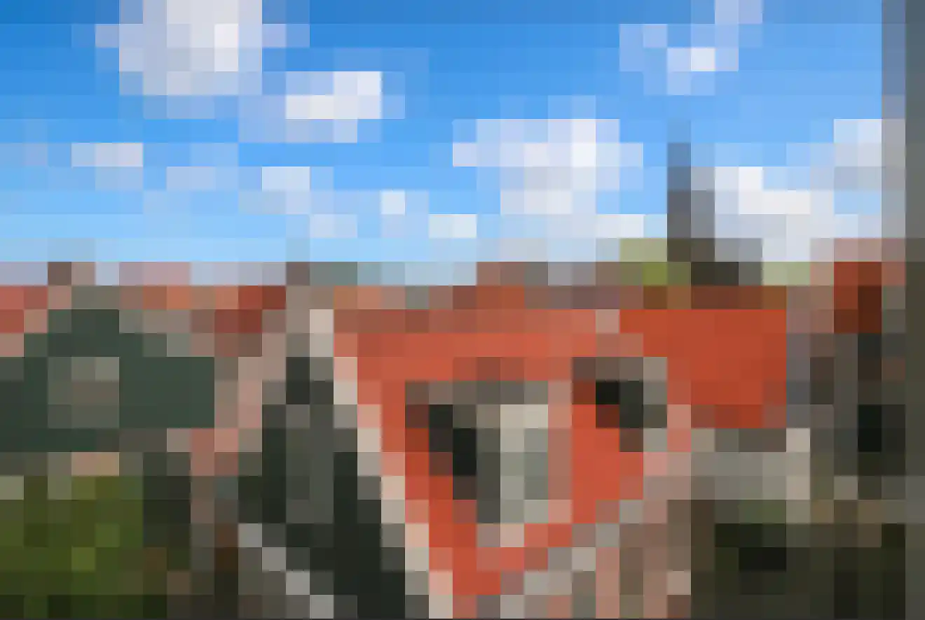 Doolhof 67 Volendam thumbnail 34