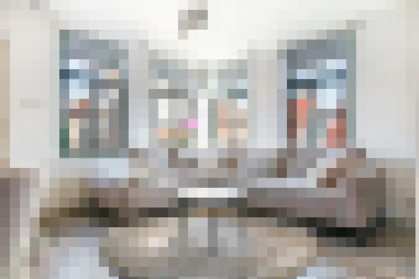Doolhof 67 Volendam thumbnail 9