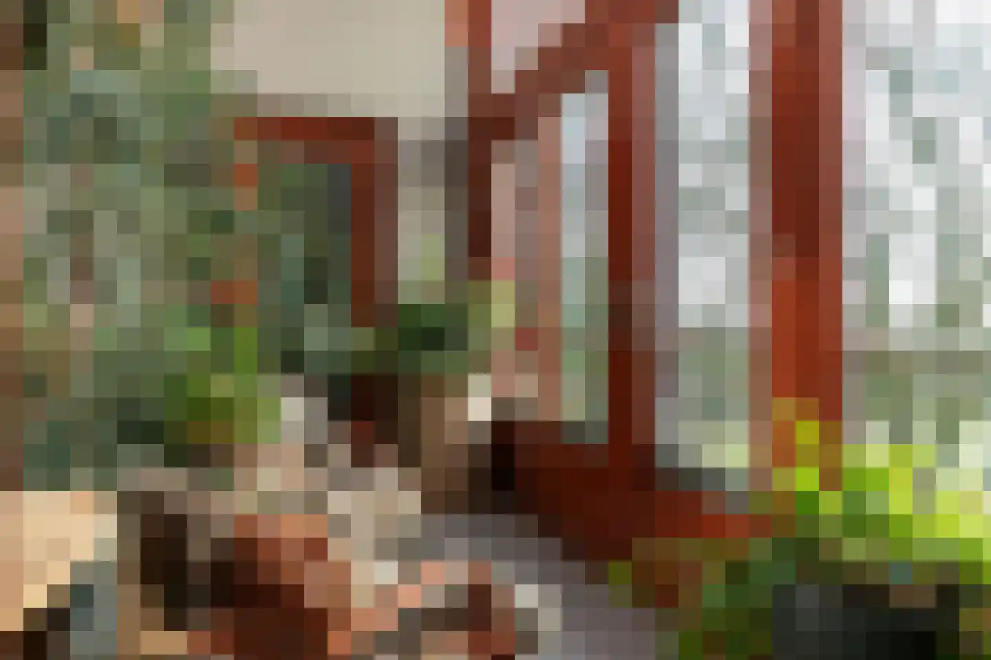 Doolhof 9 Oudeschild thumbnail 13