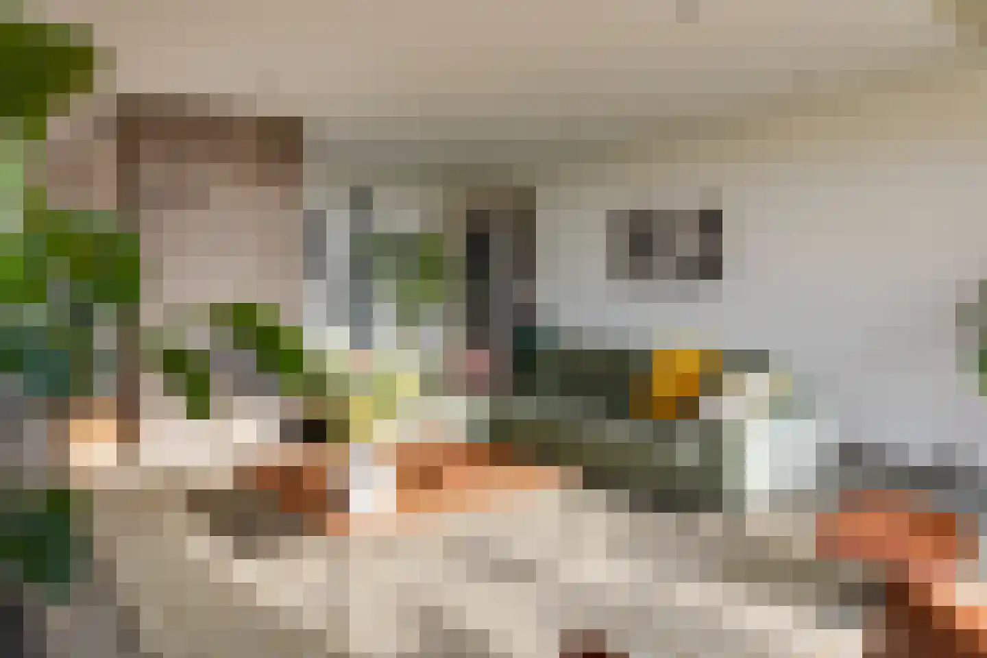 Doolhof 9 Oudeschild thumbnail 16