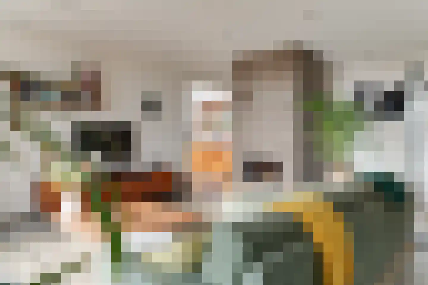 Doolhof 9 Oudeschild thumbnail 17