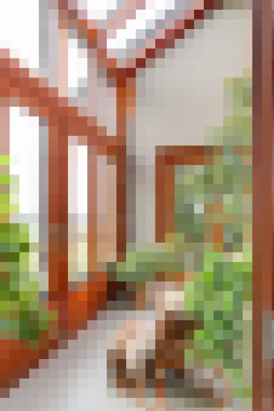 Doolhof 9 Oudeschild thumbnail 25