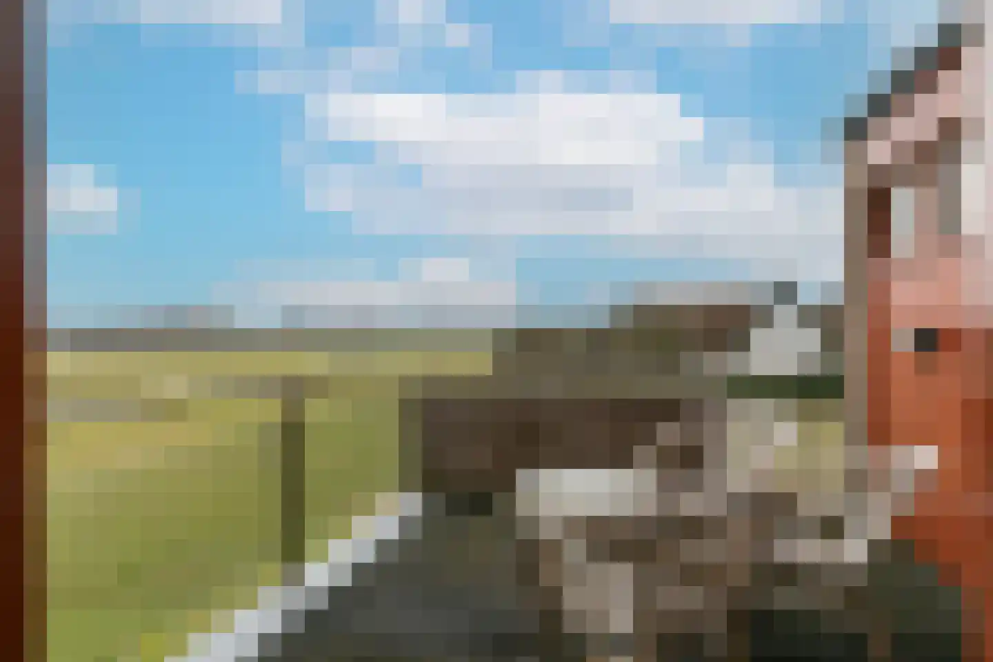 Doolhof 9 Oudeschild thumbnail 37