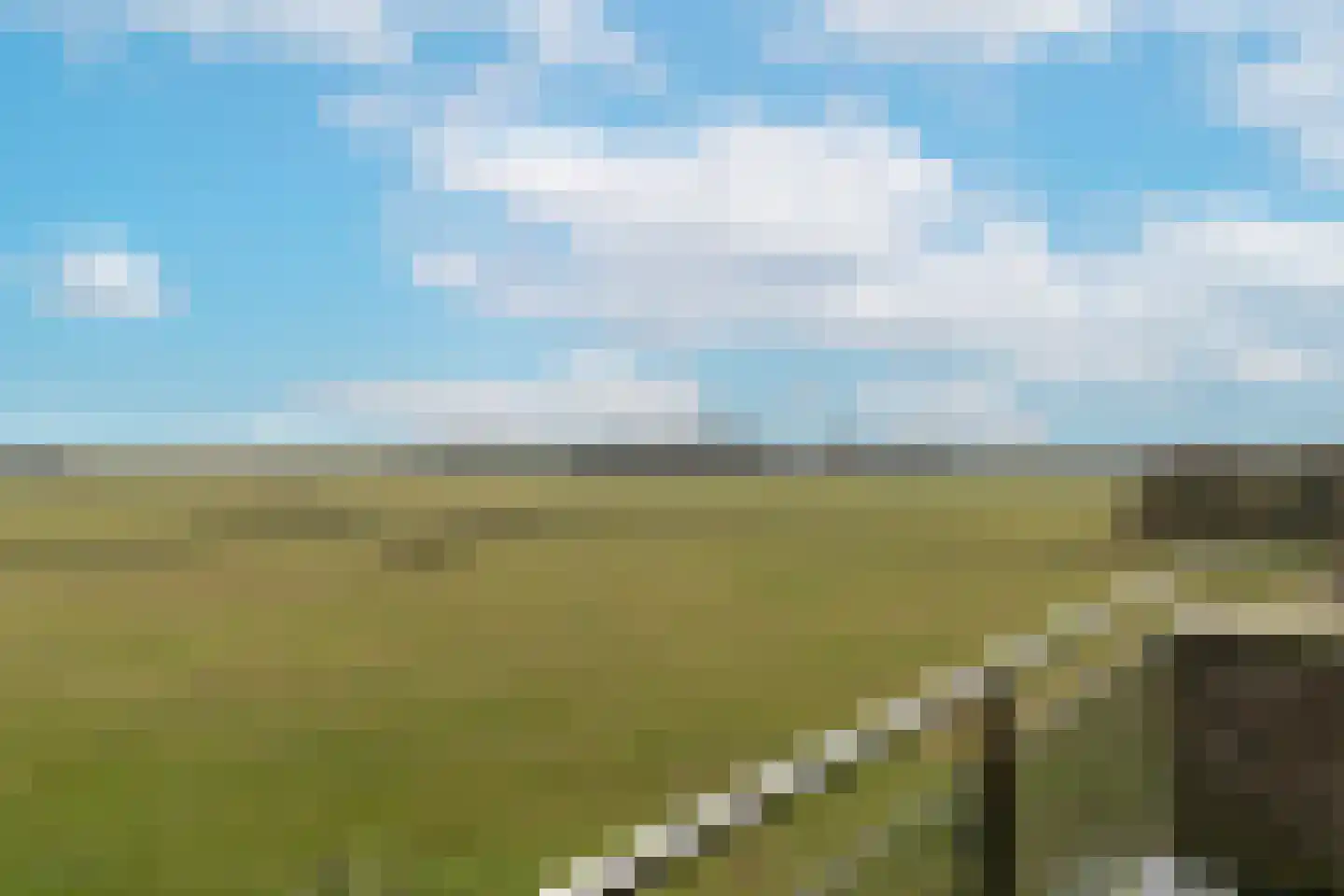 Doolhof 9 Oudeschild thumbnail 38