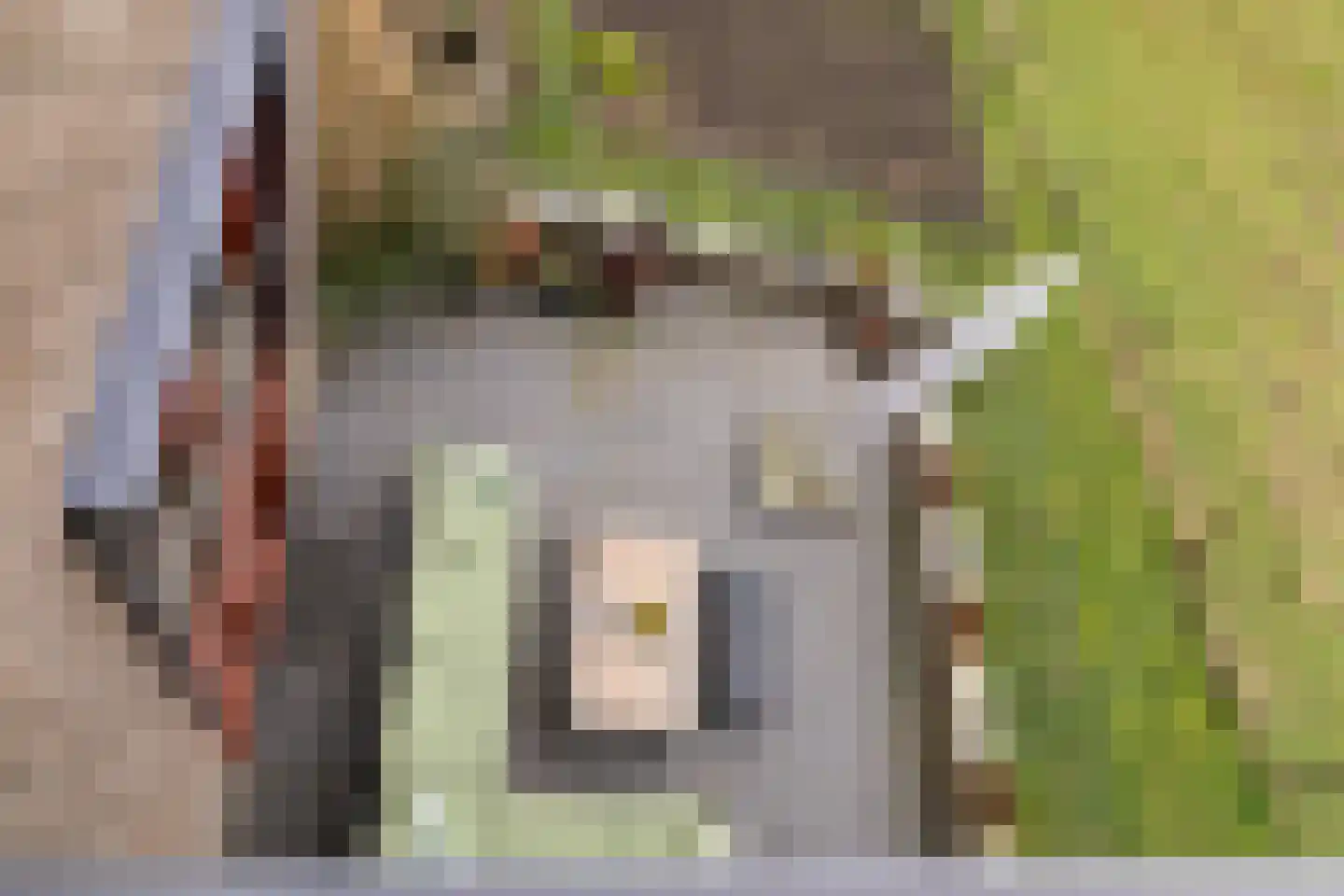 Doolhof 9 Oudeschild thumbnail 39