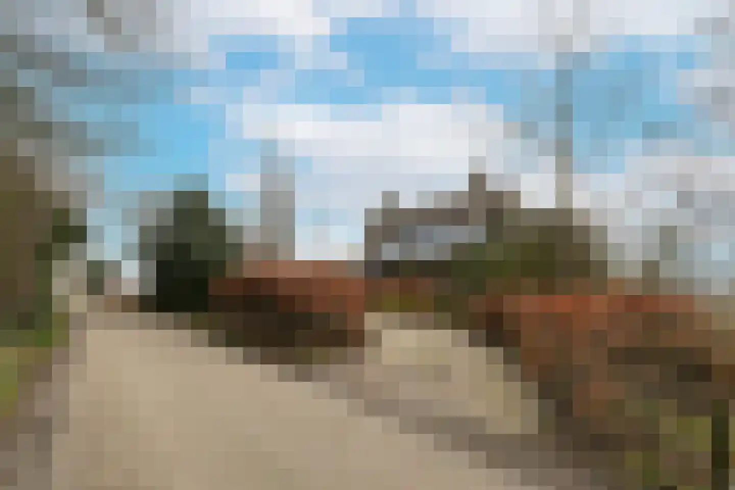 Doolhof 9 Oudeschild thumbnail 4