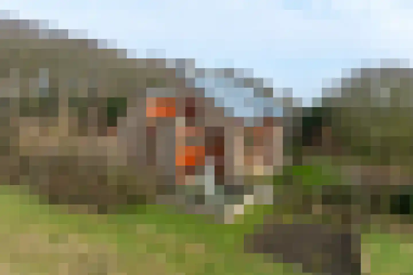 Doolhof 9 Oudeschild thumbnail 50