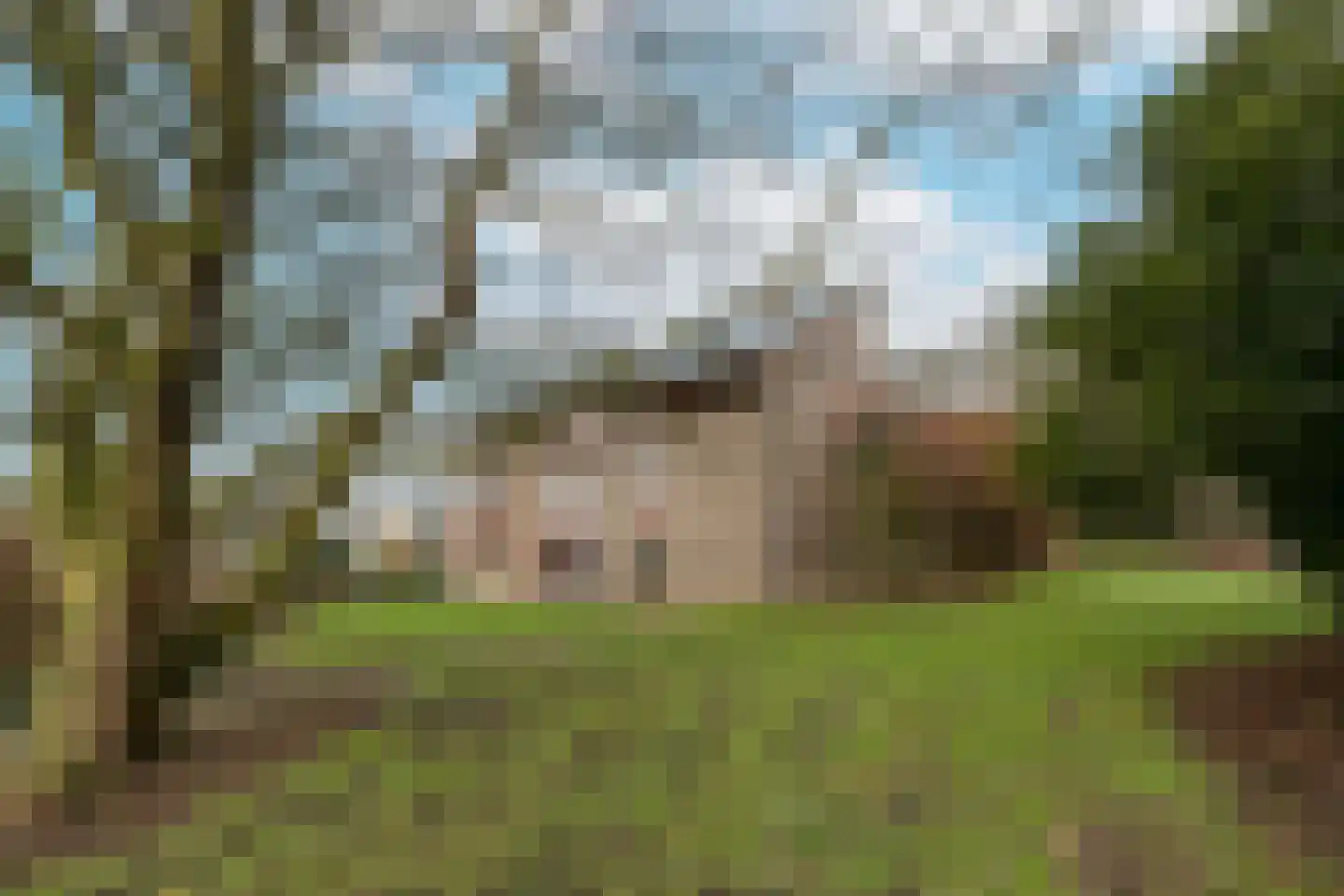 Doolhof 9 Oudeschild thumbnail 58