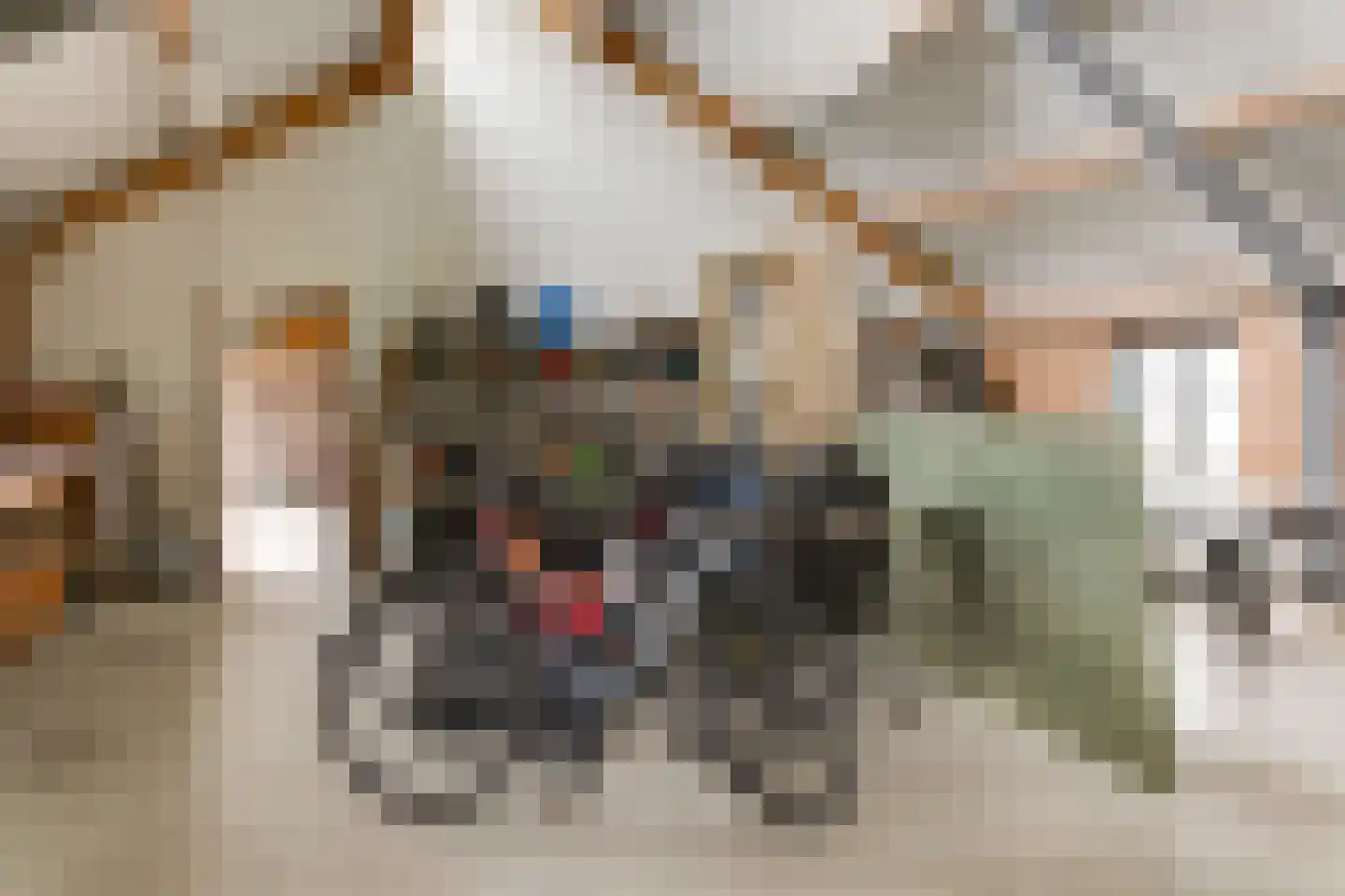 Doolhof 9 Oudeschild thumbnail 63