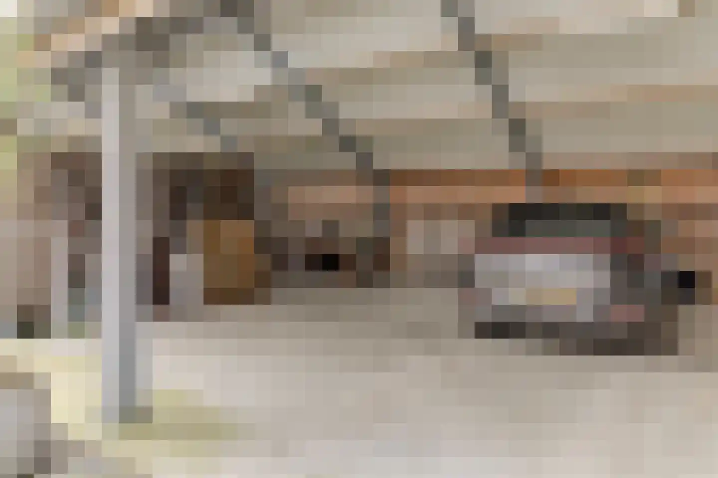 Doolhof 9 Oudeschild thumbnail 64