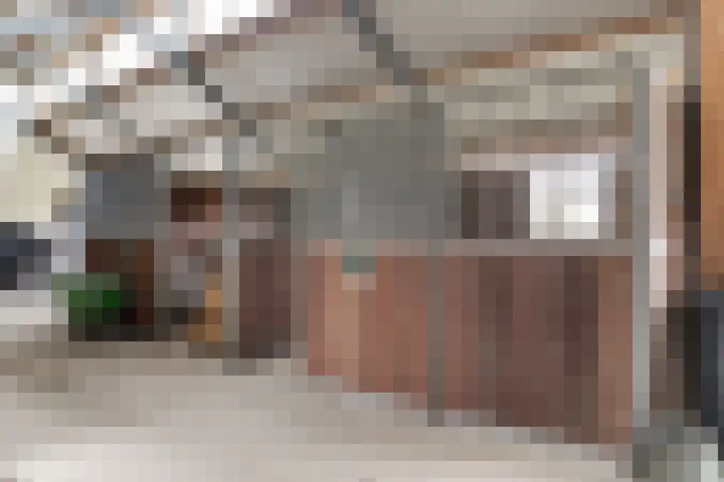 Doolhof 9 Oudeschild thumbnail 66