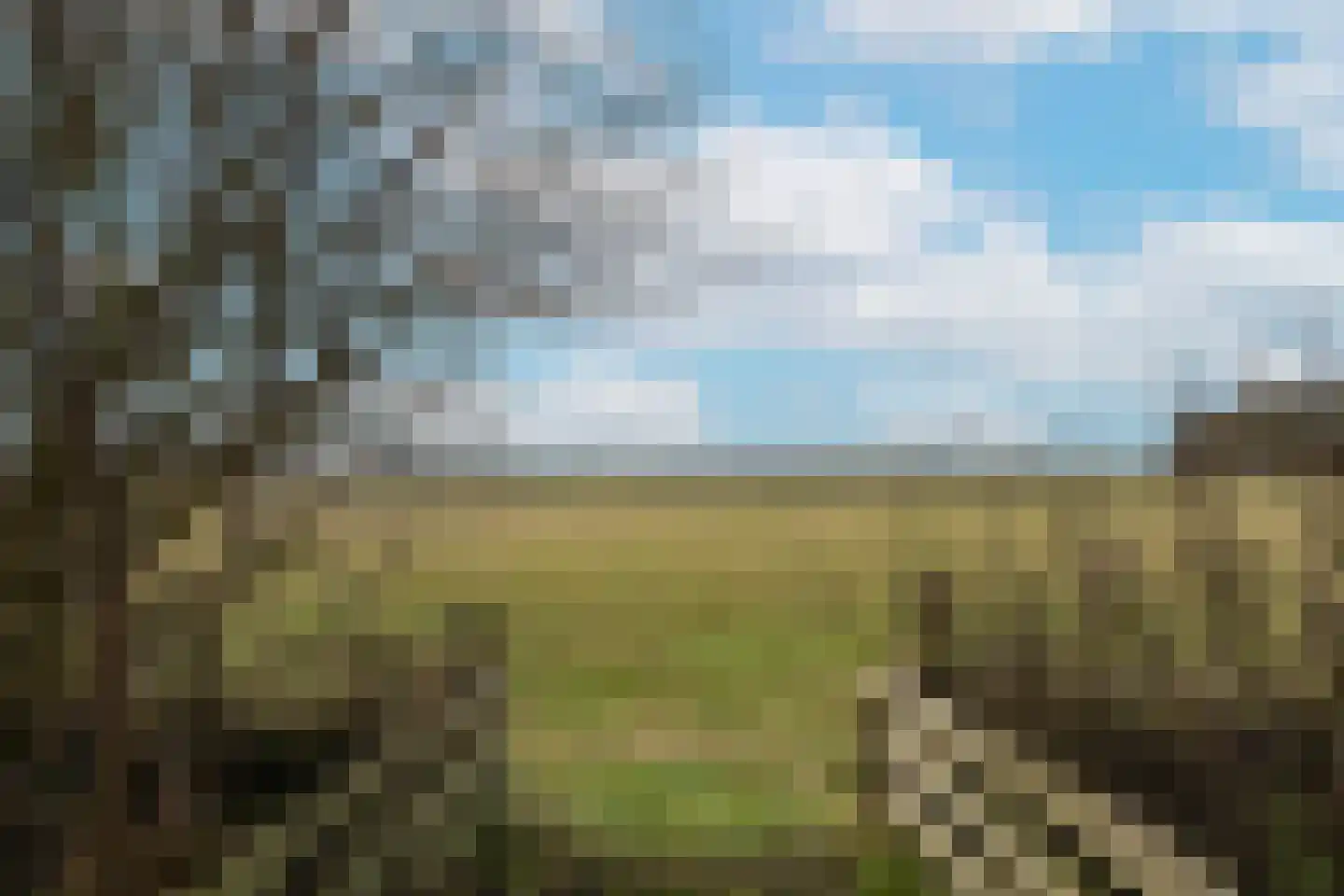 Doolhof 9 Oudeschild thumbnail 68