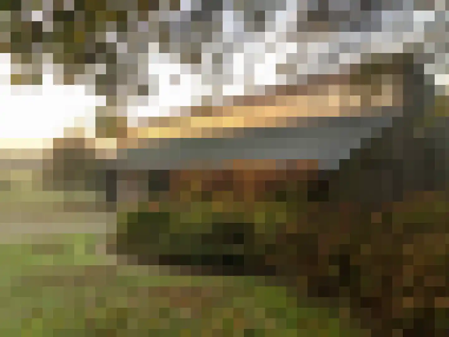 Doolhof 9 Oudeschild thumbnail 69