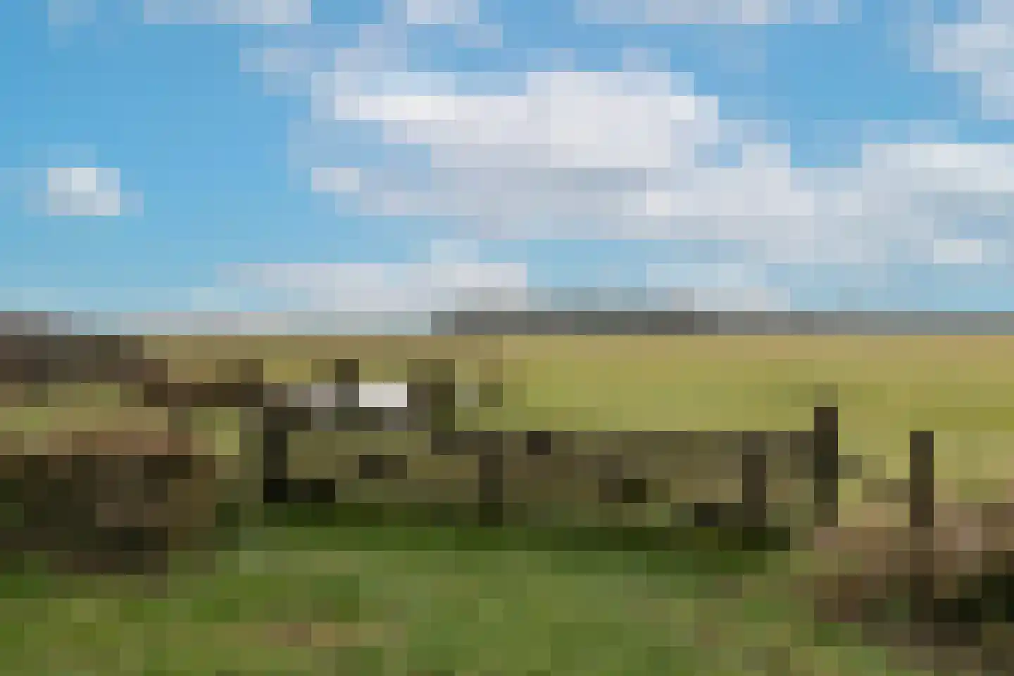Doolhof 9 Oudeschild thumbnail 70