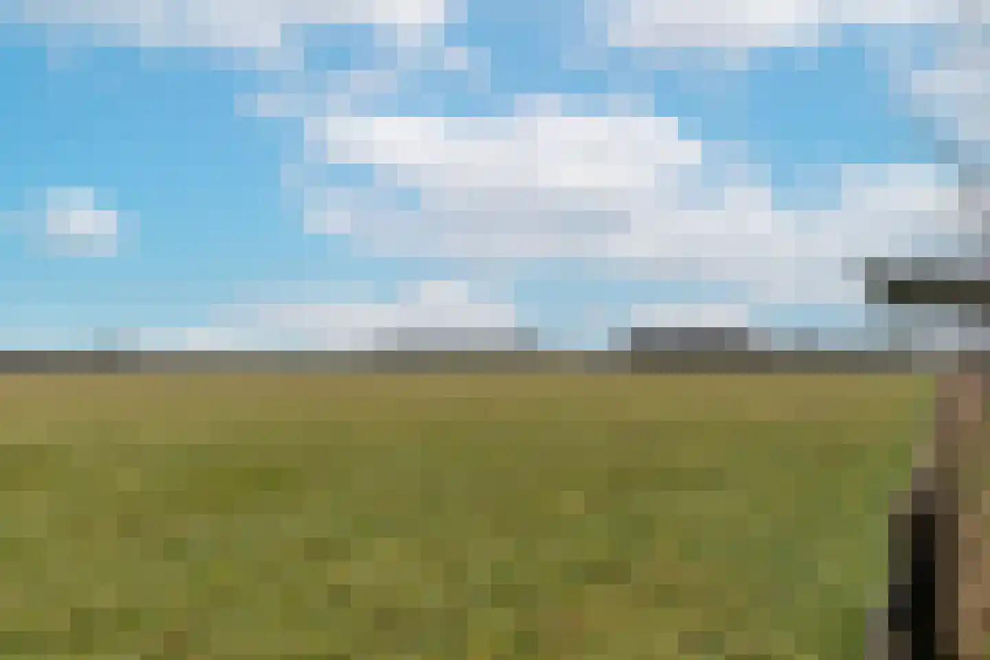 Doolhof 9 Oudeschild thumbnail 71
