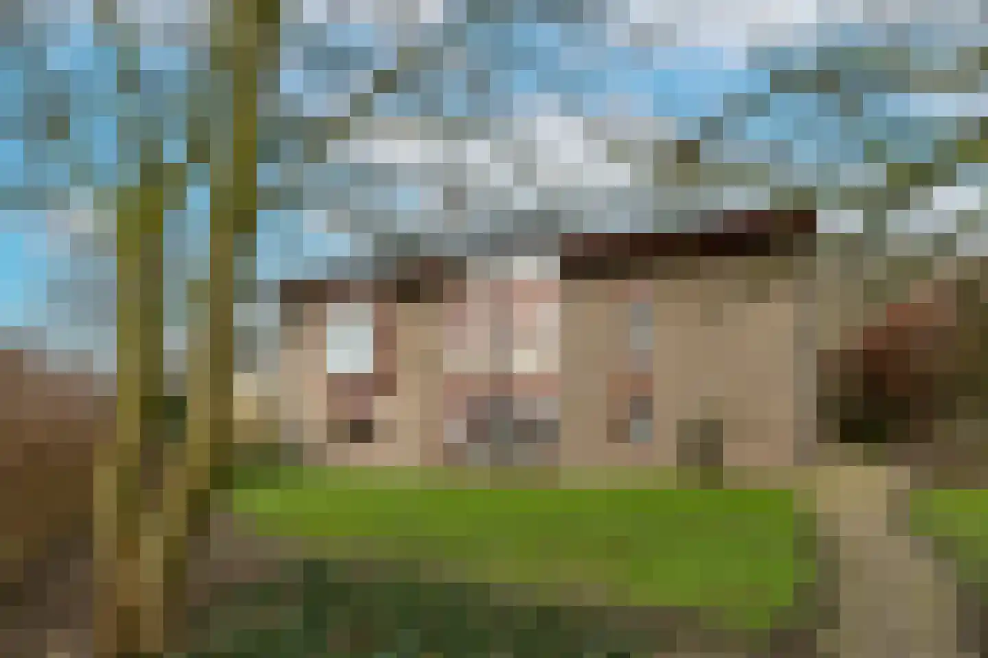 Doolhof 9 Oudeschild thumbnail 72