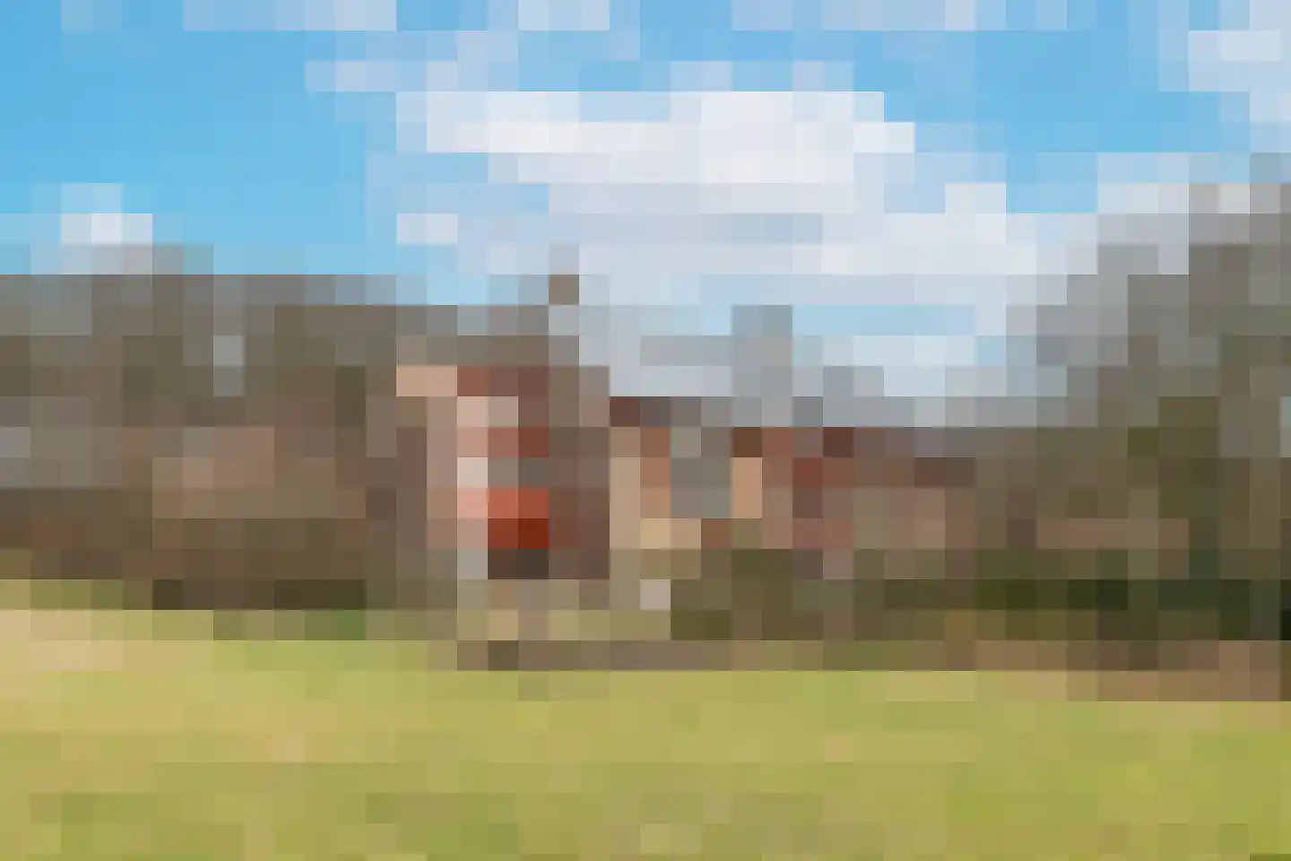 Doolhof 9 Oudeschild thumbnail 73