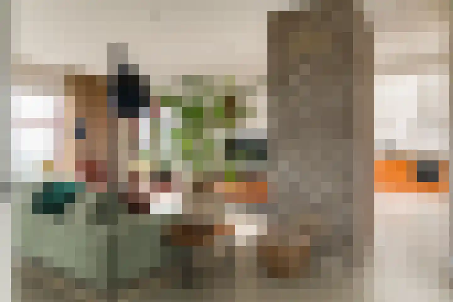 Doolhof 9 Oudeschild thumbnail 8