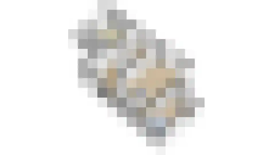 Doolhof 9 Oudeschild thumbnail 83