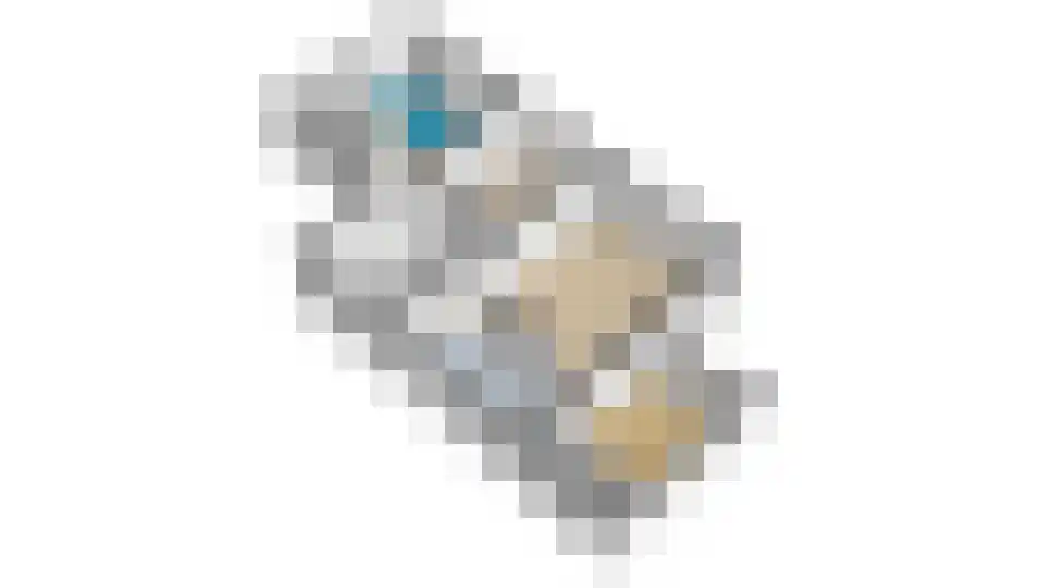 Doolhof 9 Oudeschild thumbnail 85