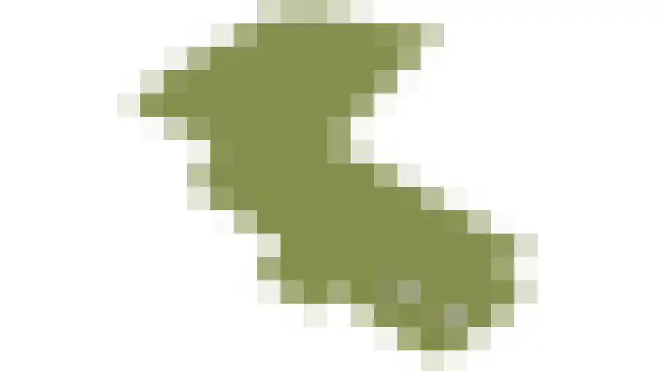 Doolhof 9 Oudeschild thumbnail 87