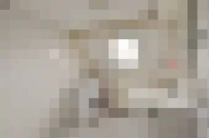 Doolhofje 1 Huizen thumbnail 11