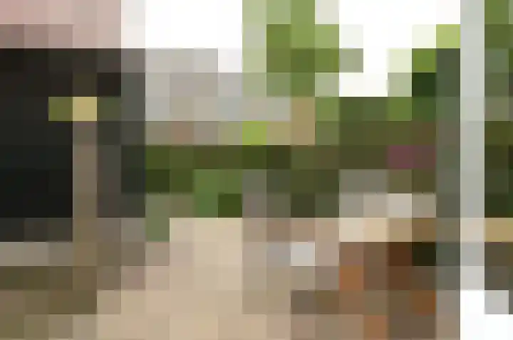 Doolhofje 1 Huizen thumbnail 12