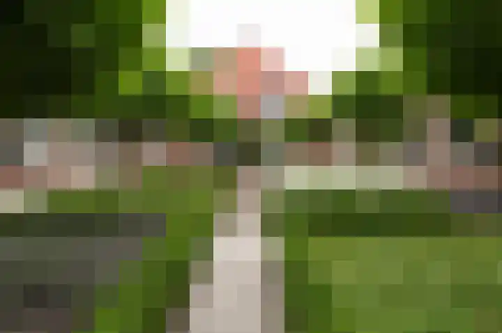 Doolhofje 1 Huizen thumbnail 16