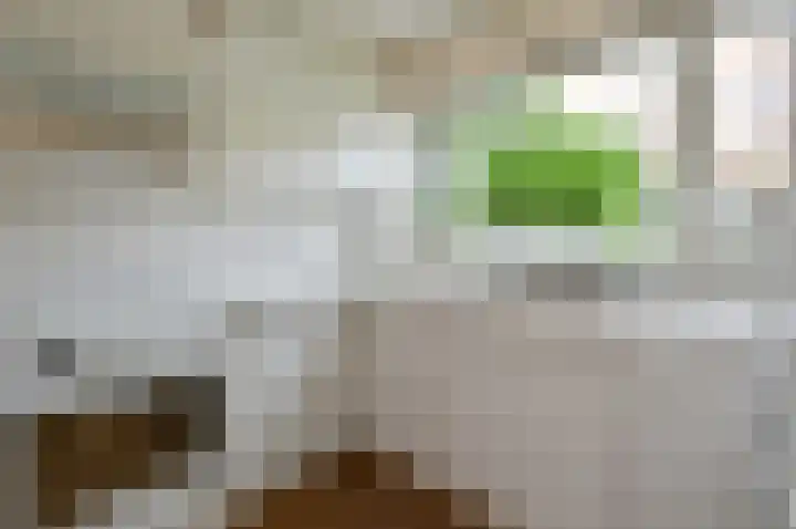Doolhofje 1 Huizen thumbnail 6