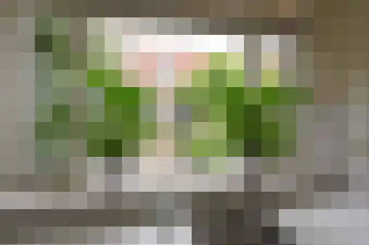 Doolhofje 1 Huizen thumbnail 7