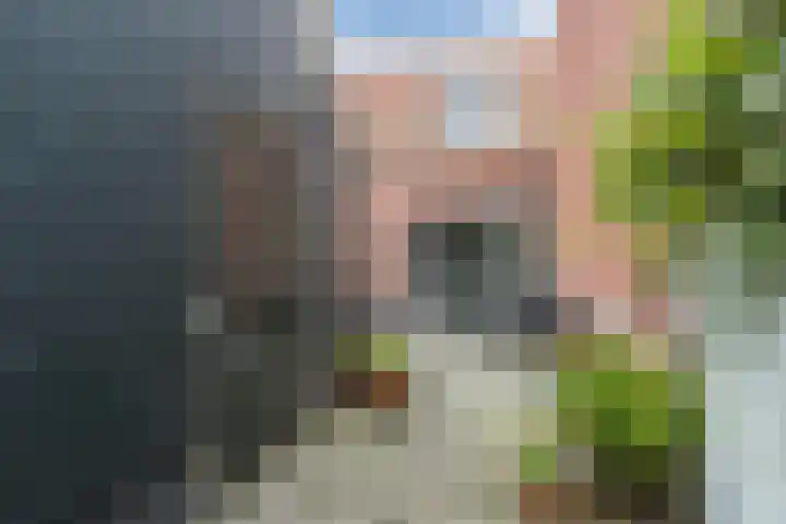 Doolhofje 10 Huizen thumbnail 14