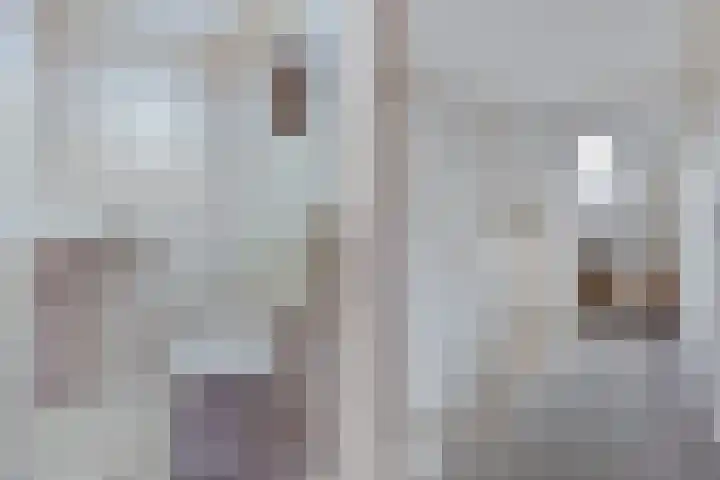 Doolhofje 10 Huizen thumbnail 16