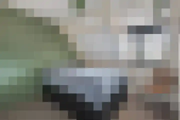 Doolhofje 10 Huizen thumbnail 17