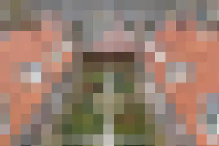Doolhofje 10 Huizen thumbnail 23