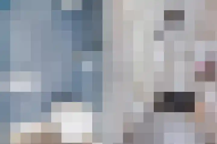 Doolhofje 10 Huizen thumbnail 6
