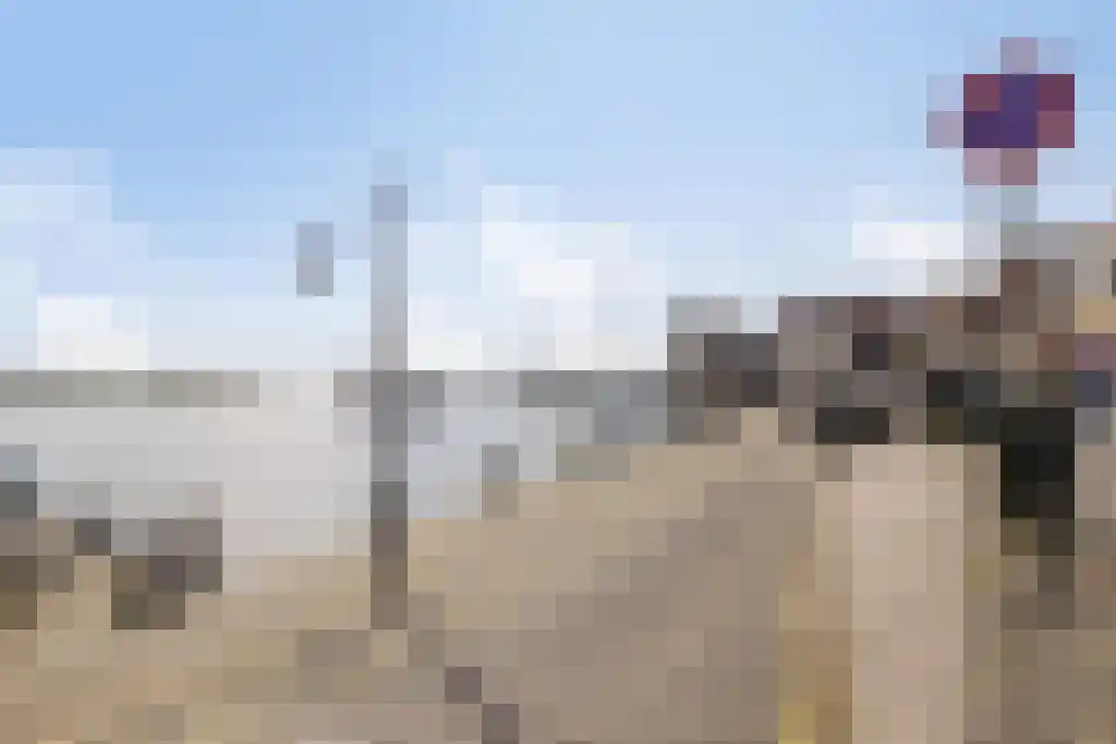 Doolhofpad 5 Volendam thumbnail 24