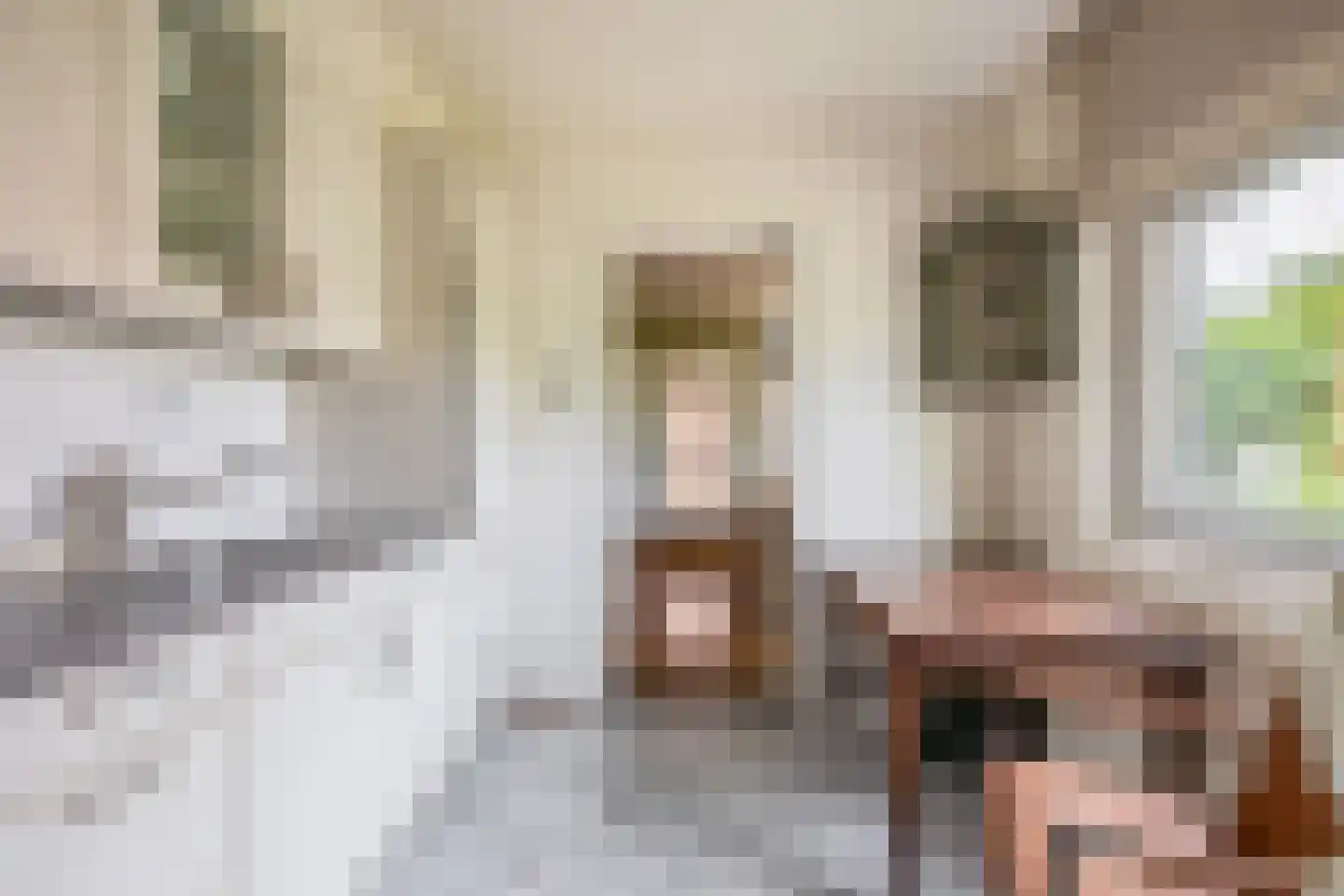 Doolhofstraat 16 Tegelen thumbnail 11